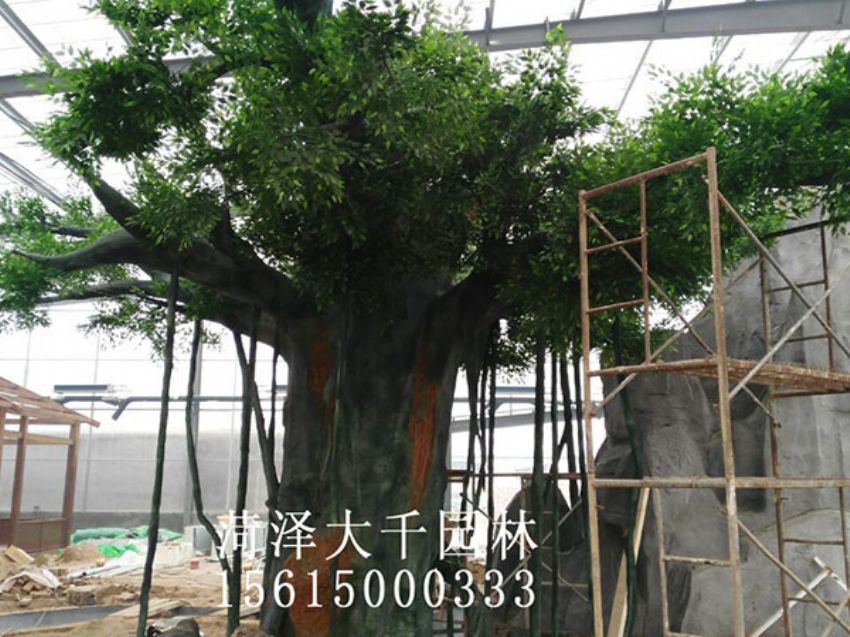 點(diǎn)擊查看詳細(xì)信息<br>標(biāo)題：假樹 閱讀次數(shù)：1386