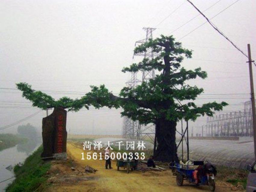 點(diǎn)擊查看詳細(xì)信息<br>標(biāo)題：假樹 閱讀次數(shù)：1302