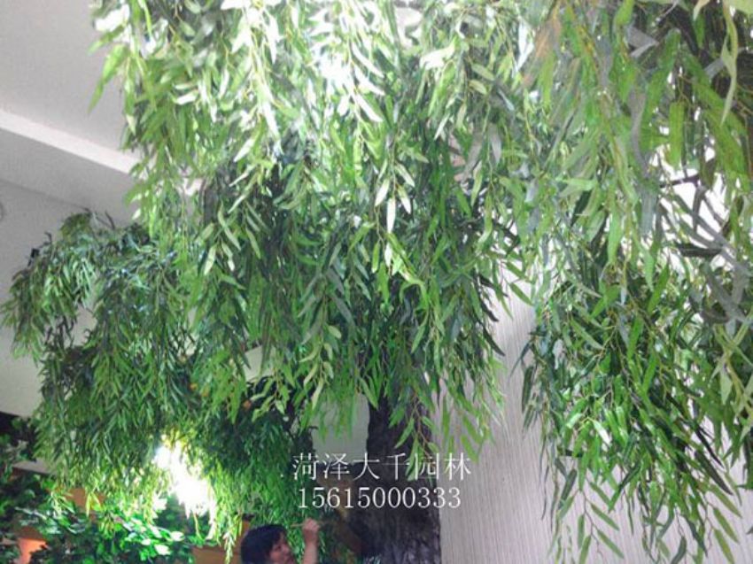 點(diǎn)擊查看詳細(xì)信息<br>標(biāo)題：假樹 閱讀次數(shù)：1319