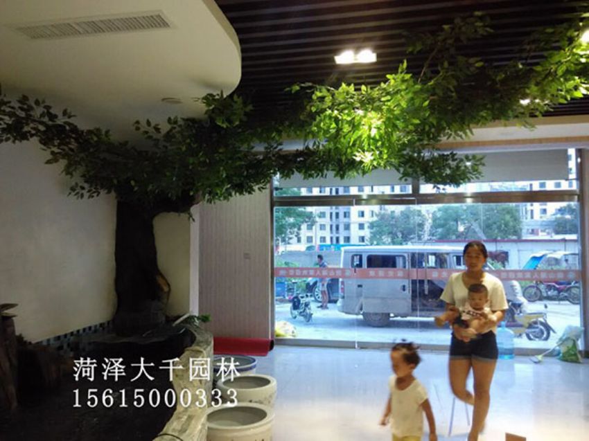 點(diǎn)擊查看詳細(xì)信息<br>標(biāo)題：假樹 閱讀次數(shù)：1346